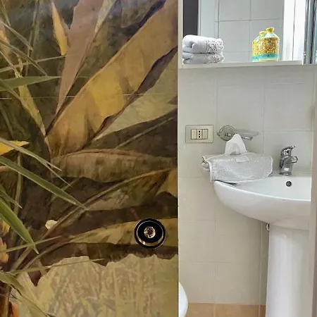 Fronte Duomo أريانو إربينو